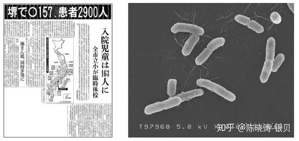 娃儿营养餐_娃娃营养餐_营养儿童餐